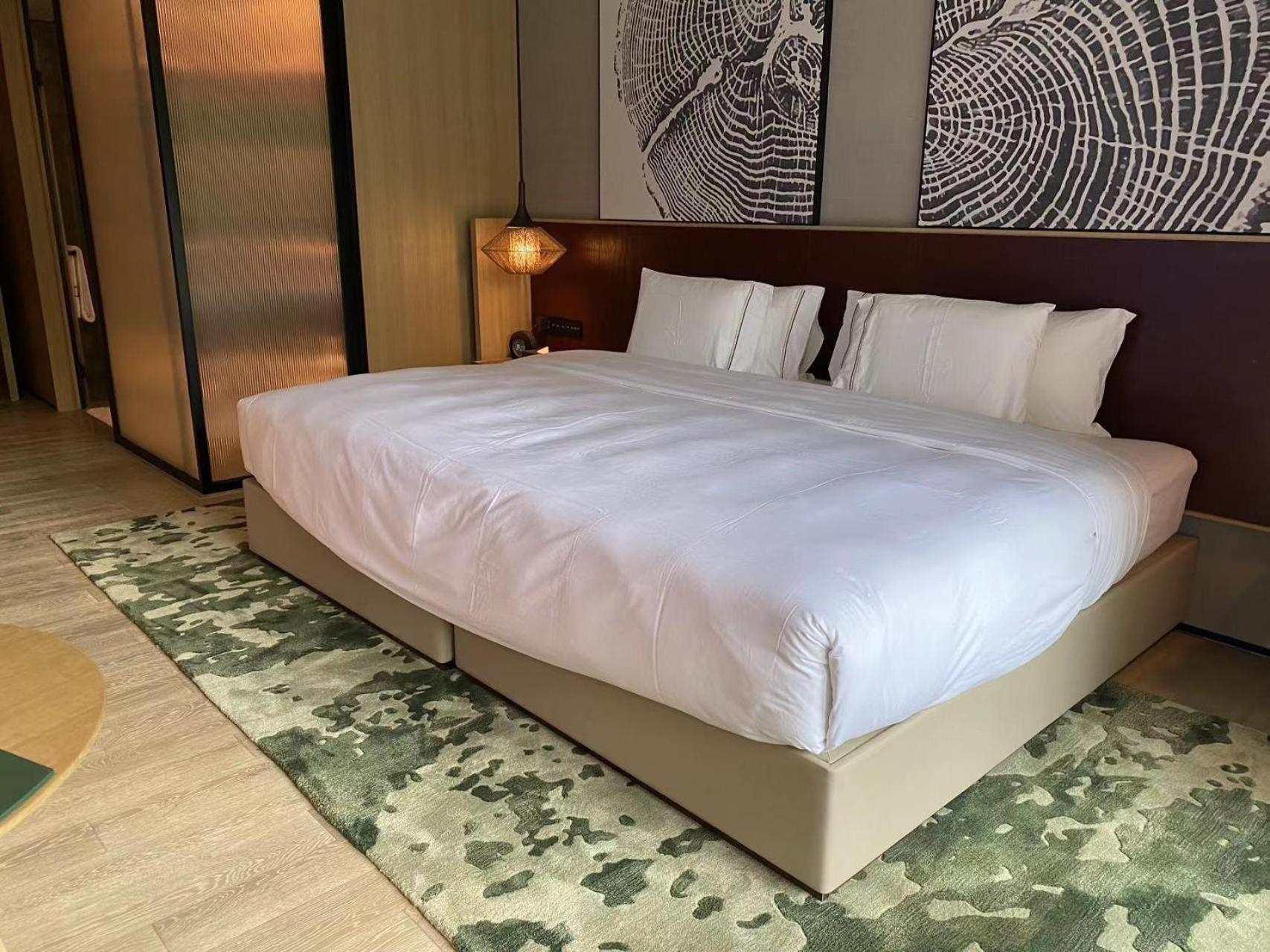 Melia Chongqing 호텔 외부 사진